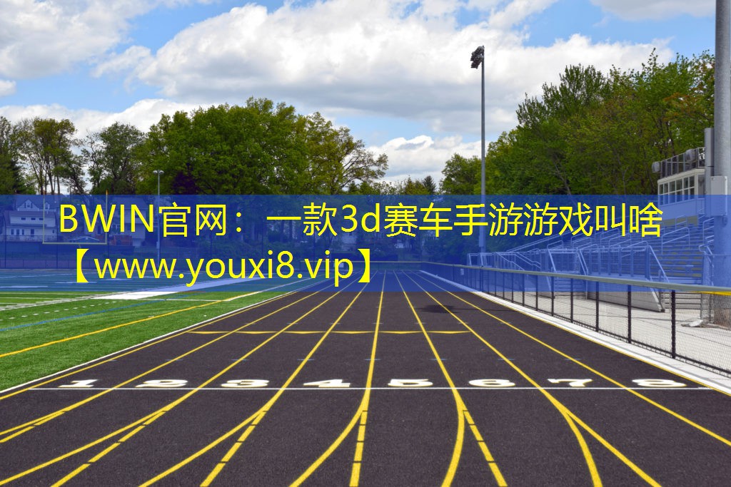 BWIN官网：一款3d赛车手游游戏叫啥