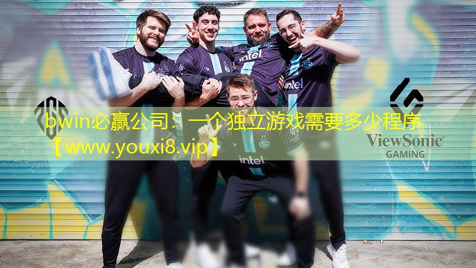 bwin必赢公司：一个独立游戏需要多少程序