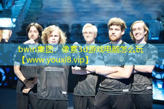 bwin集团：像素3d游戏电脑怎么玩