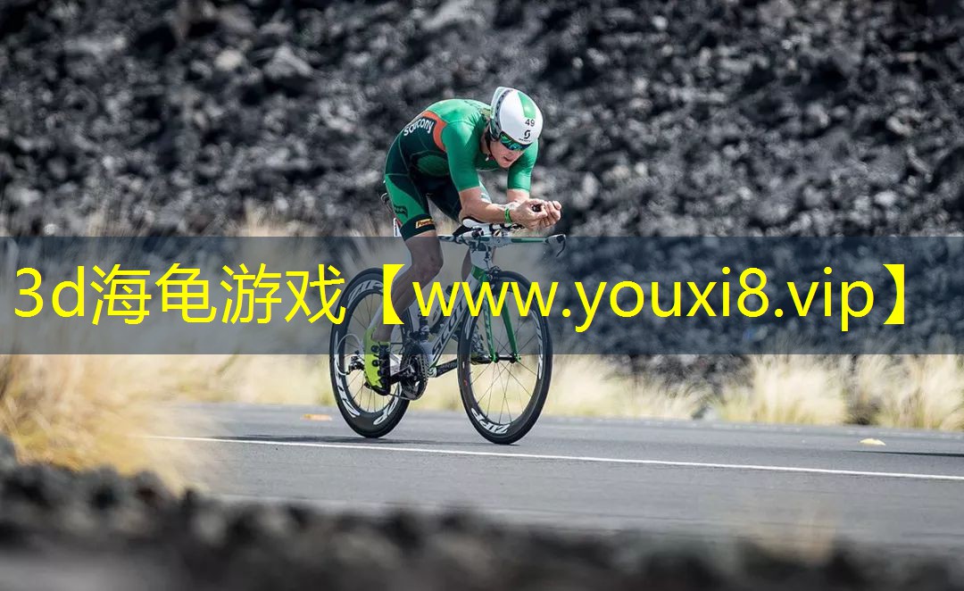 3d海龟游戏