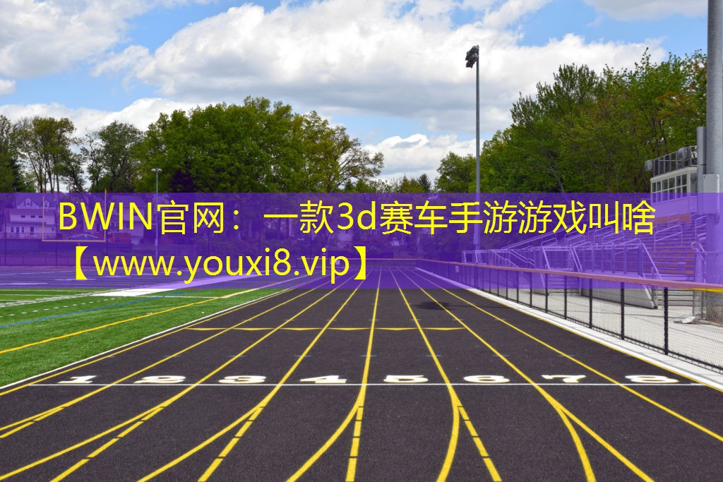 一款3d赛车手游游戏叫啥