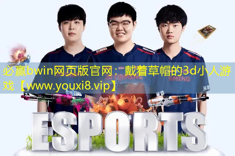 戴着草帽的3d小人游戏