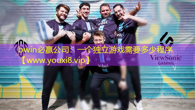 一个独立游戏需要多少程序